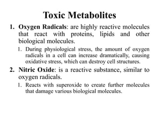 Toxic Metabolites
1. Oxygen Radicals: are highly reactive molecules
that react with proteins, lipids and other
biological molecules.
1. During physiological stress, the amount of oxygen
radicals in a cell can increase dramatically, causing
oxidative stress, which can destroy cell structures.
2. Nitric Oxide: is a reactive substance, similar to
oxygen radicals.
1. Reacts with superoxide to create further molecules
that damage various biological molecules.
 