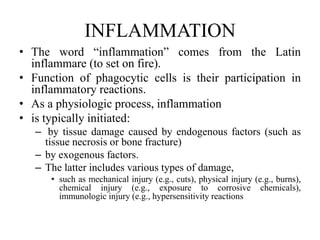 INFLAMMATION
• The word “inflammation” comes from the Latin
inflammare (to set on fire).
• Function of phagocytic cells is their participation in
inflammatory reactions.
• As a physiologic process, inflammation
• is typically initiated:
– by tissue damage caused by endogenous factors (such as
tissue necrosis or bone fracture)
– by exogenous factors.
– The latter includes various types of damage,
• such as mechanical injury (e.g., cuts), physical injury (e.g., burns),
chemical injury (e.g., exposure to corrosive chemicals),
immunologic injury (e.g., hypersensitivity reactions
 