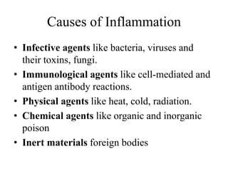 Causes of Inflammation
• Infective agents like bacteria, viruses and
their toxins, fungi.
• Immunological agents like cell-mediated and
antigen antibody reactions.
• Physical agents like heat, cold, radiation.
• Chemical agents like organic and inorganic
poison
• Inert materials foreign bodies
 