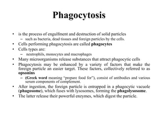 Phagocytosis
• is the process of engulfment and destruction of solid particles
– such as bacteria, dead tissues and foreign particles by the cells.
• Cells performing phagocytosis are called phagocytes
• Cells types are:
– neutrophils, monocytes and macrophages
• Many microorganisms release substances that attract phagocytic cells
• Phagocytosis may be enhanced by a variety of factors that make the
foreign particle an easier target. These factors, collectively referred to as
opsonins
– (Greek word meaning “prepare food for”), consist of antibodies and various
serum components of complement.
• After ingestion, the foreign particle is entrapped in a phagocytic vacuole
(phagosome), which fuses with lysosomes, forming the phagolysosome.
• The latter release their powerful enzymes, which digest the particle.
 