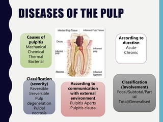 DISEASES OF THE PULP
Causes of
pulpitis
Mechanical
Chemical
Thermal
Bacterial
Classification
(severity)
Reversible
Irreversible
Pulp
degeneration
Pulpal
necrosis
Classification
(Involvement)
Focal/Subtotal/Part
ial
Total/Generalised
According to
duration
Acute
Chronic
According to
communication
with external
environment
Pulpitis Aperts
Pulpitis clausa
 