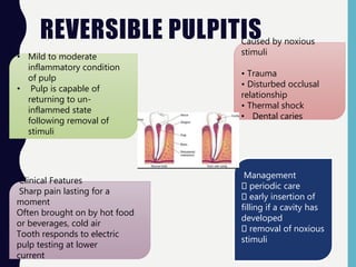 REVERSIBLE PULPITIS
• Mild to moderate
inflammatory condition
of pulp
• Pulp is capable of
returning to un-
inflammed state
following removal of
stimuli
Caused by noxious
stimuli
• Trauma
• Disturbed occlusal
relationship
• Thermal shock
• Dental caries
Clinical Features
Sharp pain lasting for a
moment
Often brought on by hot food
or beverages, cold air
Tooth responds to electric
pulp testing at lower
current
Management
periodic care
early insertion of
filling if a cavity has
developed
removal of noxious
stimuli
 