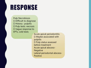 RESPONSE
Pulp Necrobiosis
Difficult to diagnose
History : pulpitis
Pulp tests: necrosis
Vague response to
EPTs, cold tests
Acute apical periodontitis
Maybe associated with
pulpitis
Pulp status assessed
before treatment
Acute apical abscess-
Negative
Lateral periodontal abscess-
Positive
 
