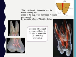 ‘‘The pulp lives for the dentin and the
dentin lives by the
grace of the pulp. Few marriages in nature
are marked
by a greater affinity.’’ Alfred L. Ogilvie
Average intrapulpal
pressure =10mm Hg
13 mm in reversible
35+ mm Hg
irreversible
 