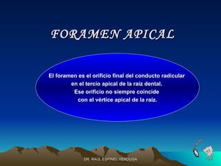 FORAMEN APICAL

El foramen es el orificio final del conducto radicular
        en el tercio apical de la raíz dental.
         Ese orificio no siempre coincide
          con el vértice apical de la raíz.




              DR. RAÚL ESPINEL VERDUGA
 