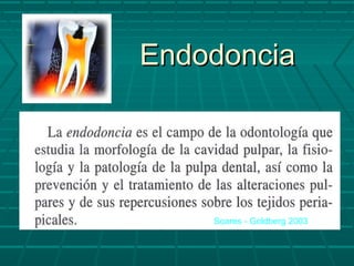 Endodoncia

Soares - Goldberg 2003

 