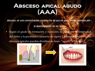 Absceso apical agudo
(AAA)
Absceso, es una concentración circunscrita de pus en una cavidad formada por
la desintegración de los tejidos.
• Según el grado de formación y excreción de exudado, la intensidad
del dolor y la presencia o ausencia de signos y síntomas generales, los
abscesos apicales pueden dividirse en fases “aguda” y “crónica”.
 