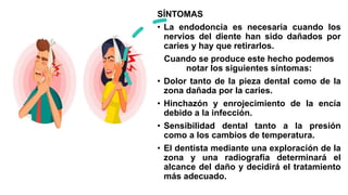 SÍNTOMAS
• La endodoncia es necesaria cuando los
nervios del diente han sido dañados por
caries y hay que retirarlos.
Cuando se produce este hecho podemos
notar los siguientes síntomas:
• Dolor tanto de la pieza dental como de la
zona dañada por la caries.
• Hinchazón y enrojecimiento de la encía
debido a la infección.
• Sensibilidad dental tanto a la presión
como a los cambios de temperatura.
• El dentista mediante una exploración de la
zona y una radiografía determinará el
alcance del daño y decidirá el tratamiento
más adecuado.
 