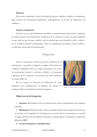 Mechero
El mechero tradicional a base de alcohol de quemar también se utiliza en endodoncia
para calentar los instrumentos pertinentes, principalmente en la fase de obturación del
conducto.
Caja de endodoncia
Consiste en una caja debidamente dividida en compartimentos, que ayuda a organizar
de mejor manera el instrumental de endodoncia. Este elemento es cada vez menos utilizado,
ya que cada vez que la caja es abierta, todo el material que está contenido en ella, se utilice o
no, se considera material contaminado y debe ser esterilizado nuevamente, lo que conlleva a
un deterioro innecesario de instrumental.
Irrigación
Como se mencionó en inicio, uno de los objetivos de la
endodoncia es permitir la limpieza completa del sistema de
conductos radiculares. Esto no se logra únicamente con el uso
de instrumental manual o mecánico, debido a la anatomía
caprichosa de los conductos y la existencia de otros conductos
accesorios (FIG 14).
Por lo mismo, es necesario la utilización de otros
elementos que complementen la limpieza de sistema de
conductos. Para eso existen las sustancias irrigantes.
Objetivos de la Irrigación
1. Arrastre: Retirando los restos de dentina para evitar el taponamiento del conducto
radicular.
2. Disolución: Del detritus del conducto radicular, incluyendo la capa de desecho que
se produce en la superﬁcie de la dentina por la acción de los instrumentos y se puede
acumular al interior de los túbulos dentinarios, compactándose y formando un tapón que
diﬁculta la IBM.
3. Acción antiséptica o desinfectante.
E. ODONTOLÓGICAS NICOLÁS PÉREZ "12
FIG 14. Conductos accesorios
 