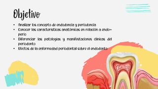 2
• Analizar los concepto de endodoncia y periodoncia
• Conocer las características anatómicas en relación a endo-
perio
• Diferenciar las patologías y manifestaciones clínicas del
periodonto
• Efectos de la enfermedad periodontal sobre el endodonto
 