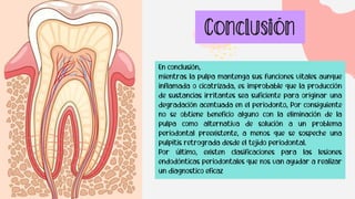 Conclusión
En conclusión,
mientras la pulpa mantenga sus funciones vitales aunque
inflamada o cicatrizada, es improbable que la producción
de sustancias irritantes sea suficiente para originar una
degradación acentuada en el periodonto, Por consiguiente
no se obtiene beneficio alguno con la eliminación de la
pulpa como alternativa de solución a un problema
periodontal preexistente, a menos que se sospeche una
pulpitis retrograda desde el tejido periodontal.
Por último, existen clasificaciones para las lesiones
endodónticas periodontales que nos van ayudar a realizar
un diagnostico eficaz
 