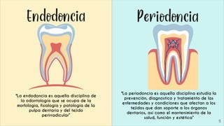 5
"La endodoncia es aquella disciplina de
la odontología que se ocupa de la
morfología, fisiología y patología de la
pulpa dentaria y del tejido
perirradicular”
"La periodoncia es aquella disciplina estudia la
prevención, diagnostico y tratamiento de las
enfermedades y condiciones que afectan a los
tejidos que dan soporte a los órganos
dentarios, así como el mantenimiento de la
salud, función y estética”
 