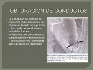  La obturación del sistema de
conductos radiculares tiene por
objetivo el llenado de la porción
conformada del conducto con
materiales inertes o
antisépticos que promuevan un
sellado estable y tridimensional
– estimulando y no interfiriendo
con el proceso de reparación
 