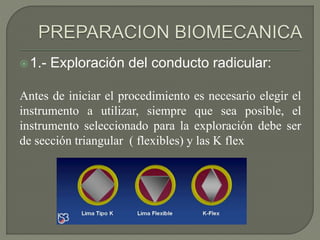 1.- Exploración del conducto radicular:
Antes de iniciar el procedimiento es necesario elegir el
instrumento a utilizar, siempre que sea posible, el
instrumento seleccionado para la exploración debe ser
de sección triangular ( flexibles) y las K flex
 
