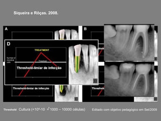 Siqueira e Rôças. 2008.




                             4
Threshold   Cultura (<10³-10 = 1000 – 10000 células)   Editado com objetivo pedagógico em Set/2009
 