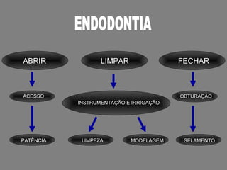ABRIR             LIMPAR                FECHAR



ACESSO                                  OBTURAÇÃO
           INSTRUMENTAÇÃO E IRRIGAÇÃO




PATÊNCIA    LIMPEZA        MODELAGEM     SELAMENTO
 