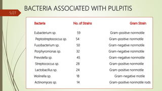 BACTERIA ASSOCIATED WITH PULPITIS
Eubacterium sp. 59 Gram-positive nonmotile
Peptostreptococcus sp. 54 Gram-positive nonmotile
Fusobacterium sp. 50 Gram-negative nonmotile
Porphyromonas sp. 32 Gram-negative nonmotile
Prevotella sp. 45 Gram-negative nonmotile
Streptococcus sp. 28 Gram-positive nonmotile
Lactobacillus sp. 24 Gram-positive nonmotile
Wolinella sp. 18 Gram-negative motile
Actinomyces sp. 14 Gram-positive nonmotile rods
5/27
 