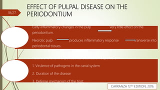 EFFECT OF PULPAL DISEASE ON THE
PERIODONTIUM
Early inflammatory changes in the pulp very little effect on the
periodontium.
Necrotic pulp produces inflammatory response transverse into
periodontal tissues.
Nature and extent of periodontal destruction depends on:
1. Virulence of pathogens in the canal system
2. Duration of the disease
3. Defense mechanism of the host.
18/27
CARRANZA 12TH EDITION, 2016
 