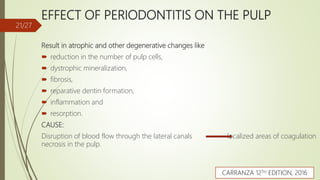 EFFECT OF PERIODONTITIS ON THE PULP
Result in atrophic and other degenerative changes like
 reduction in the number of pulp cells,
 dystrophic mineralization,
 fibrosis,
 reparative dentin formation,
 inflammation and
 resorption.
CAUSE:
Disruption of blood flow through the lateral canals localized areas of coagulation
necrosis in the pulp.
21/27
CARRANZA 12TH EDITION, 2016
 