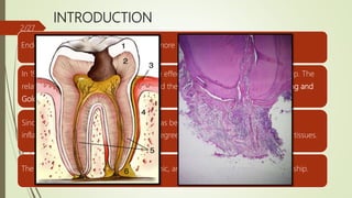 INTRODUCTION
Endo-perio problems are responsible for more than 50% of tooth mortality today.
In 1919 Turner and Drew first described the effect of periodontal disease on the pulp. The
relationship between the periodontium and the pulp was first discovered by Simring and
Goldberg in 1964.
Since then, the term ‘endo- perio lesion’ has been used to describe lesions due to
inflammatory products found in varying degrees in both periodontium and pulpal tissues.
The pulp and periodontium have embryonic, anatomic and functional interrelationship.
2/27
 