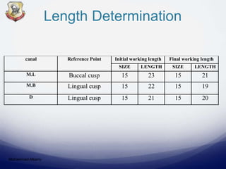 Length Determination
Mohammed Albarry
canal Reference Point Initial working length Final working length
SIZE LENGTH SIZE LENGTH
M.L Buccal cusp 15 23 15 21
M.B Lingual cusp 15 22 15 19
D Lingual cusp 15 21 15 20
 