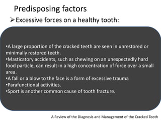 Predisposing factors
Excessive forces on a healthy tooth:
A Review of the Diagnosis and Management of the Cracked Tooth
•A large proportion of the cracked teeth are seen in unrestored or
minimally restored teeth.
•Masticatory accidents, such as chewing on an unexpectedly hard
food particle, can result in a high concentration of force over a small
area.
•A fall or a blow to the face is a form of excessive trauma
•Parafunctional activities.
•Sport is another common cause of tooth fracture.
 