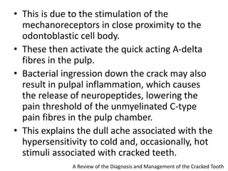 • This is due to the stimulation of the
mechanoreceptors in close proximity to the
odontoblastic cell body.
• These then activate the quick acting A-delta
fibres in the pulp.
• Bacterial ingression down the crack may also
result in pulpal inflammation, which causes
the release of neuropeptides, lowering the
pain threshold of the unmyelinated C-type
pain fibres in the pulp chamber.
• This explains the dull ache associated with the
hypersensitivity to cold and, occasionally, hot
stimuli associated with cracked teeth.
A Review of the Diagnosis and Management of the Cracked Tooth
 