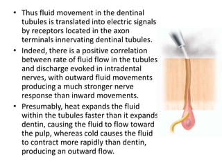 • Thus fluid movement in the dentinal
tubules is translated into electric signals
by receptors located in the axon
terminals innervating dentinal tubules.
• Indeed, there is a positive correlation
between rate of fluid flow in the tubules
and discharge evoked in intradental
nerves, with outward fluid movements
producing a much stronger nerve
response than inward movements.
• Presumably, heat expands the fluid
within the tubules faster than it expands
dentin, causing the fluid to flow toward
the pulp, whereas cold causes the fluid
to contract more rapidly than dentin,
producing an outward flow.
 