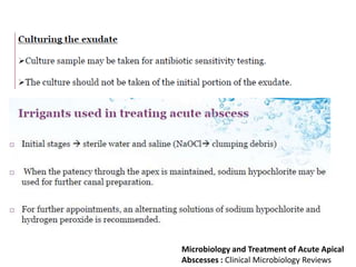Microbiology and Treatment of Acute Apical
Abscesses : Clinical Microbiology Reviews
 