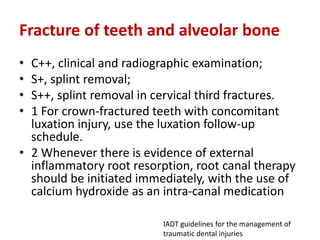 Fracture of teeth and alveolar bone
• C++, clinical and radiographic examination;
• S+, splint removal;
• S++, splint removal in cervical third fractures.
• 1 For crown-fractured teeth with concomitant
luxation injury, use the luxation follow-up
schedule.
• 2 Whenever there is evidence of external
inflammatory root resorption, root canal therapy
should be initiated immediately, with the use of
calcium hydroxide as an intra-canal medication
IADT guidelines for the management of
traumatic dental injuries
 