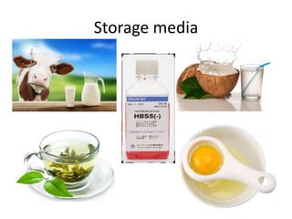 Storage media
 