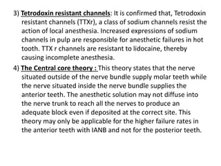 3) Tetrodoxin resistant channels: It is confirmed that, Tetrodoxin
resistant channels (TTXr), a class of sodium channels resist the
action of local anesthesia. Increased expressions of sodium
channels in pulp are responsible for anesthetic failures in hot
tooth. TTX r channels are resistant to lidocaine, thereby
causing incomplete anesthesia.
4) The Central core theory : This theory states that the nerve
situated outside of the nerve bundle supply molar teeth while
the nerve situated inside the nerve bundle supplies the
anterior teeth. The anesthetic solution may not diffuse into
the nerve trunk to reach all the nerves to produce an
adequate block even if deposited at the correct site. This
theory may only be applicable for the higher failure rates in
the anterior teeth with IANB and not for the posterior teeth.
 