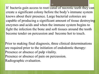 Prior to making final diagnosis, three clinical determinations
are required prior to the initiation of endodontic therapy:
Presence or absence of pulp vitality.
Presence or absence of pain on percussion.
Radiographic evaluation.
If bacteria gain access to root canal of necrotic teeth they can
create a significant colony before the body’s immune system
knows about their presence. Large bacterial colonies are
capable of producing a significant amount of tissue destroying
enzymes and acids and when the immune system begins to
fight the infection the bone and soft tissues around the tooth
become tender on percussion and become hot to touch.
15
 