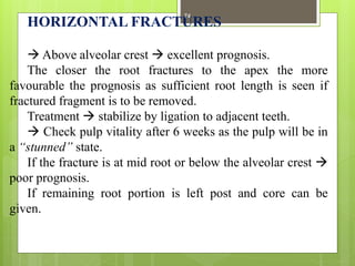 HORIZONTAL FRACTURES
 Above alveolar crest  excellent prognosis.
The closer the root fractures to the apex the more
favourable the prognosis as sufficient root length is seen if
fractured fragment is to be removed.
Treatment  stabilize by ligation to adjacent teeth.
 Check pulp vitality after 6 weeks as the pulp will be in
a “stunned” state.
If the fracture is at mid root or below the alveolar crest 
poor prognosis.
If remaining root portion is left post and core can be
given.
74
 