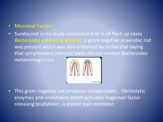 • Microbial Factors
• Sundquivst in his study concluded that in all flare up cases
Bacteroides melanninogenicus, a gram negative anaerobic rod
was present which was also endorsed by Grifee etal saying
that symptomless infected teeth did not contain Bacteroides
melanninogenicus
• This gram negative rod produces collagenolytic , fibrinolytic
enzymes and endotoxins which activates Hageman factor
releasing bradykinin , a potent pain mediator.
 