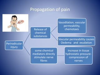 Propagation of pain
Periradicular
injury
Release of
chemical
substances
Vasodilation, vascular
permeability,
chemotaxis
Vascular permeability causes
Oedema and exudation
some chemical
mediators directly
stimulate nerve
fibres
Increase in tissue
hydrostatic pressure-
compression of
nerves
 