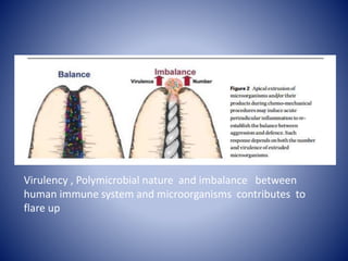 Virulency , Polymicrobial nature and imbalance between
human immune system and microorganisms contributes to
flare up
 