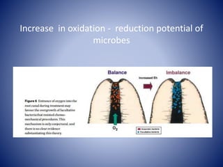 Increase in oxidation - reduction potential of
microbes
 