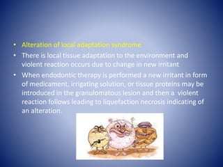 • Alteration of local adaptation syndrome
• There is local tissue adaptation to the environment and
violent reaction occurs due to change in new irritant
• When endodontic therapy is performed a new irritant in form
of medicament, irrigating solution, or tissue proteins may be
introduced in the granulomatous lesion and then a violent
reaction follows leading to liquefaction necrosis indicating of
an alteration.
 