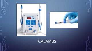 CALAMUS
 