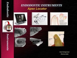 Endodontic instruments azma | PPTX