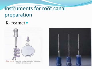 Endodonticinstruments 130320105634-phpapp01 | PPTX