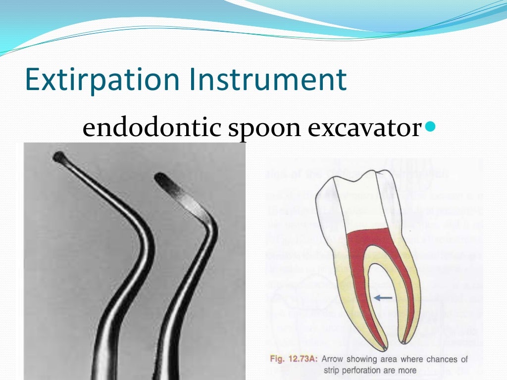 Endodontic instruments