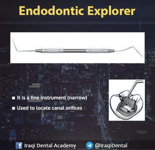 Basic Endodontic Instruments Presentation | PDF