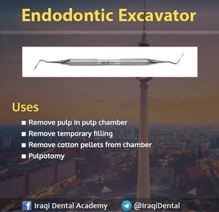 Basic Endodontic Instruments Presentation | PDF
