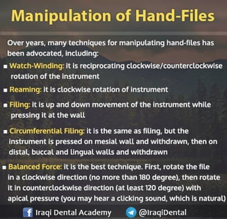 Basic Endodontic Instruments Presentation | PDF
