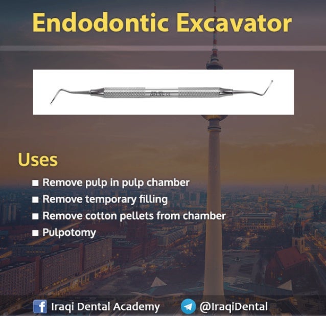 Basic Endodontic Instruments Presentation