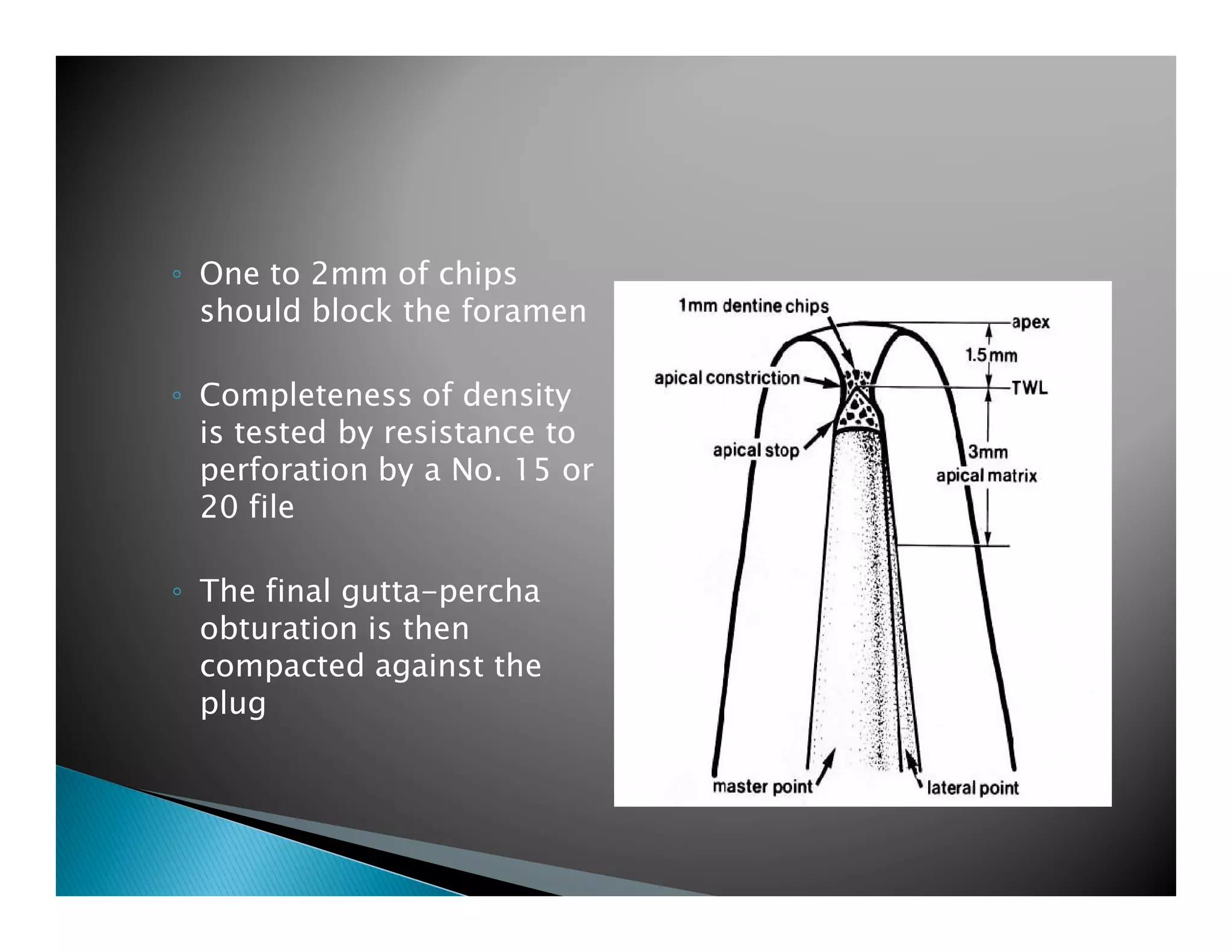 Endodontic instruments