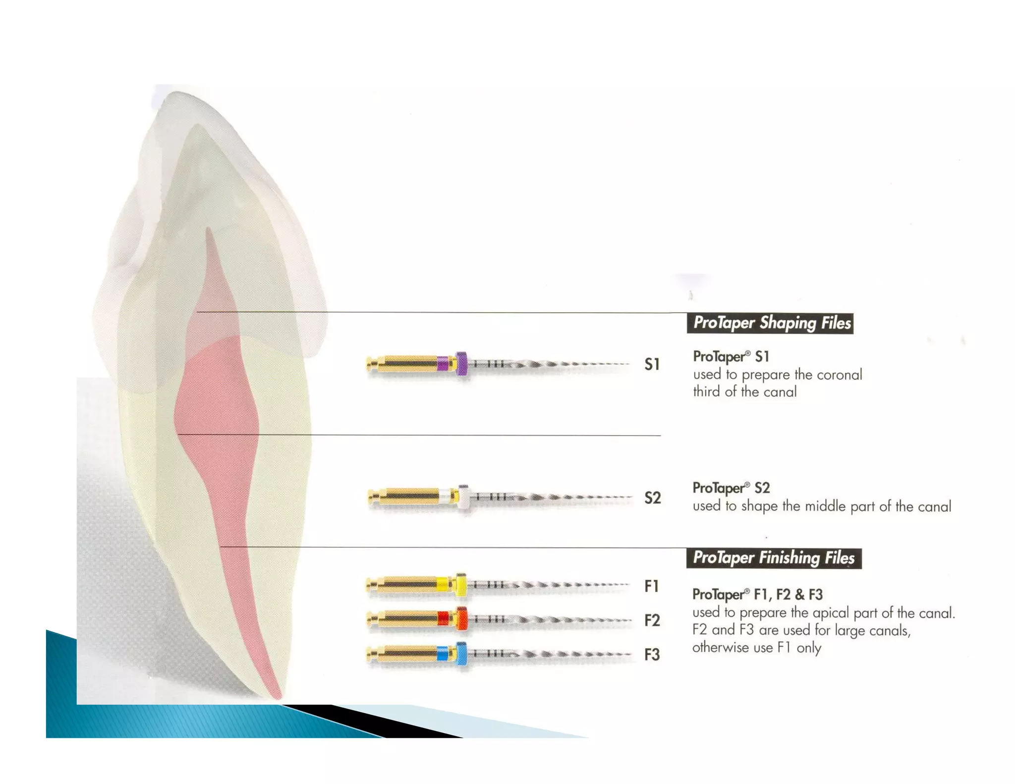 Endodontic instruments