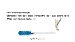 • They are shorter in length
• Standardized and color coded to match the size of gutta-percha points
• Made from stainless steel or NiTi
 